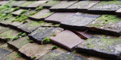 Apsley End roof repair costs